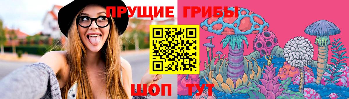Псилоцибиновые грибы GOLDEN TEACHER  цены   Орск  Вход с VPN 
